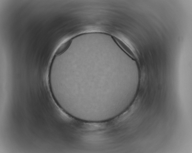 X0000111831197200908201144