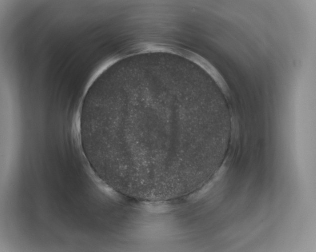 X0000111831198200908201144