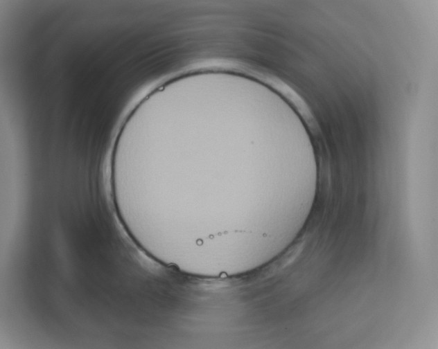 X0000111831199200908201144