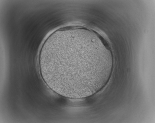 X0000111831200200908201144