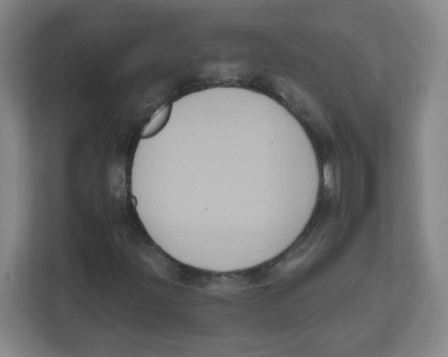 X0000111831203200908201144