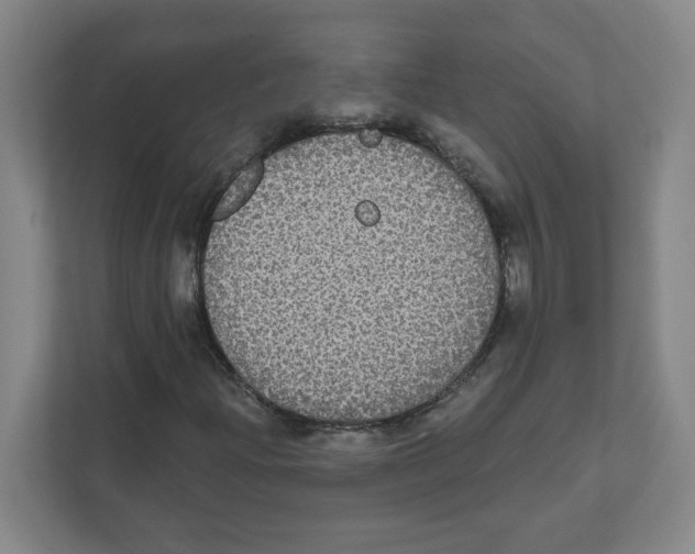 X0000111831204200908201144