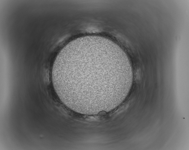 X0000111831205200908201144