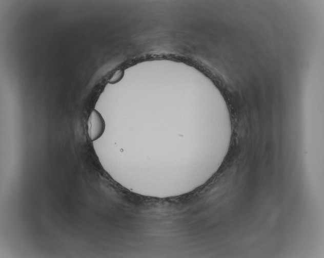 X0000111831207200908201144