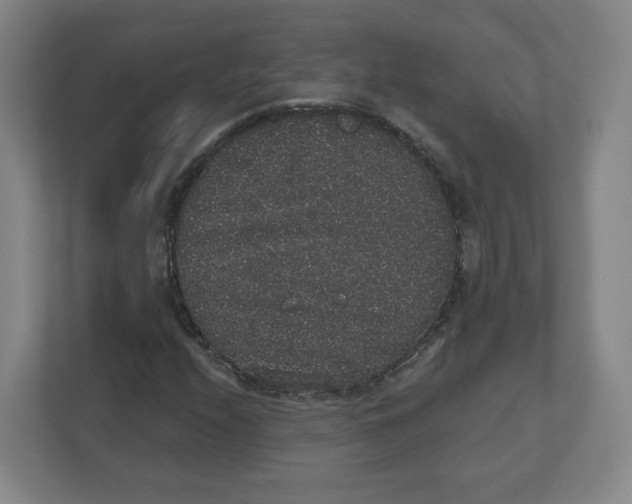 X0000111831208200908201144