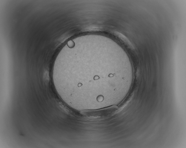 X0000111831209200908201144