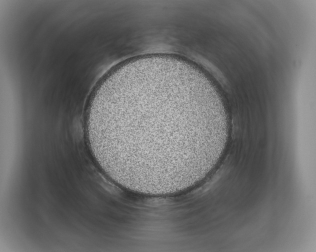 X0000111831212200908201144