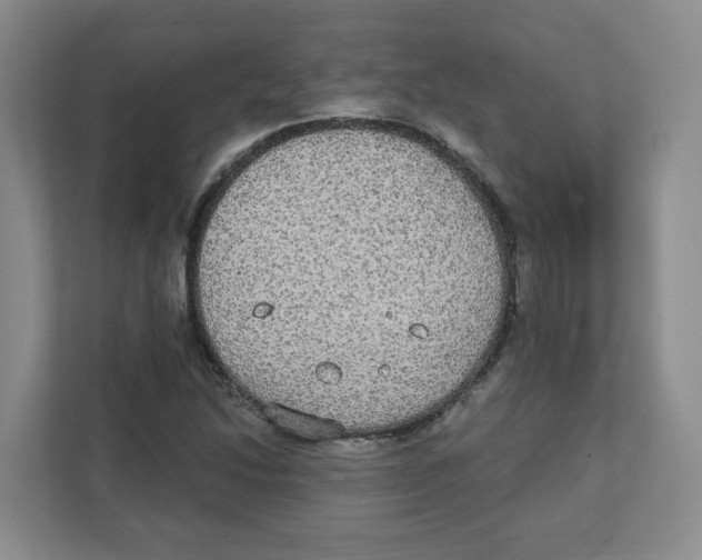 X0000111831214200908201144