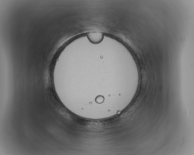 X0000111831215200908201144