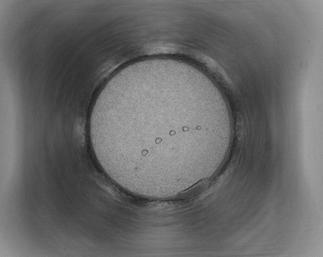 X0000111831217200908201144