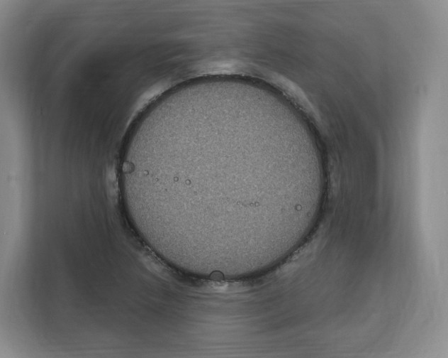 X0000111831218200908201144