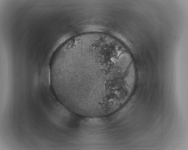 X0000111831219200908201144