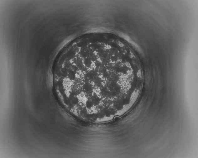 X0000111831221200908201144