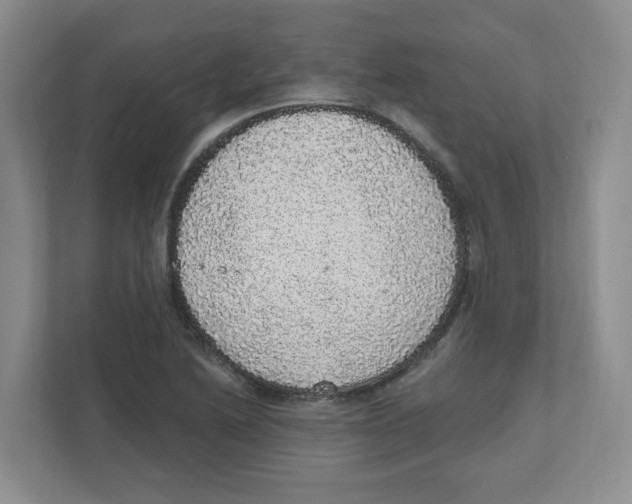 X0000111831222200908201144