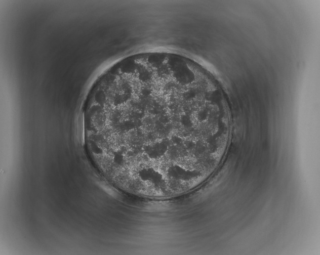 X0000111831223200908201144