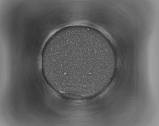 X0000111831224200908201144