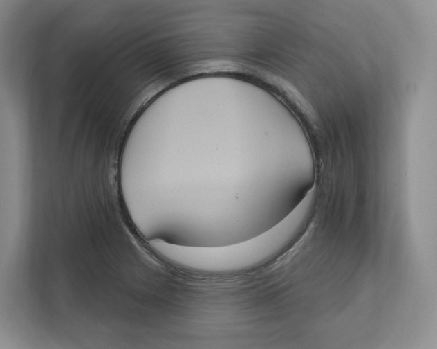 X0000111831225200908201144