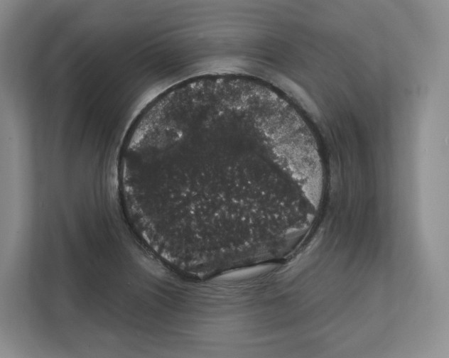 X0000111831226200908201144