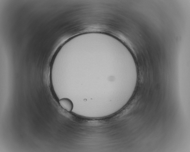 X0000111831227200908201144