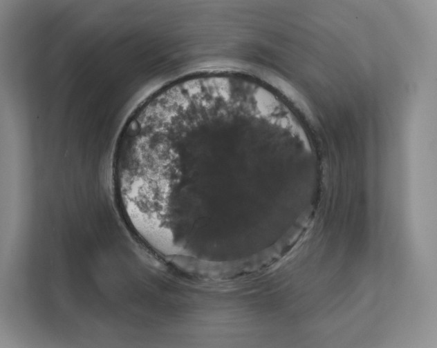 X0000111831229200908201144