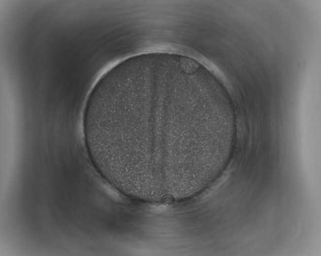 X0000111831230200908201144