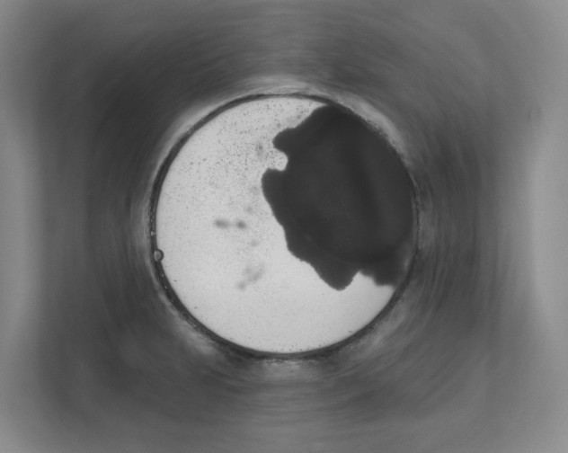 X0000111831231200908201144