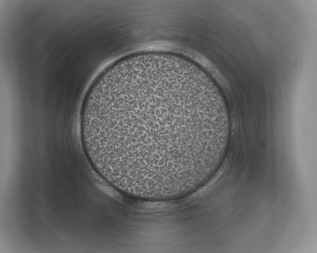 X0000111831232200908201144