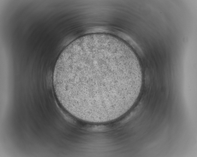 X0000111831233200908201144