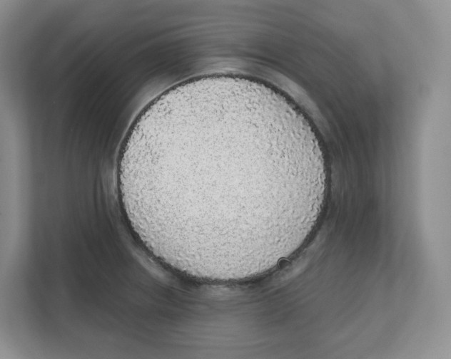 X0000111831234200908201144