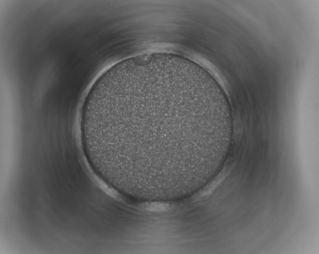 X0000111831235200908201144