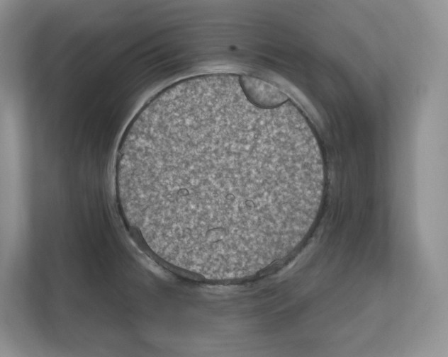 X0000111831236200908201144