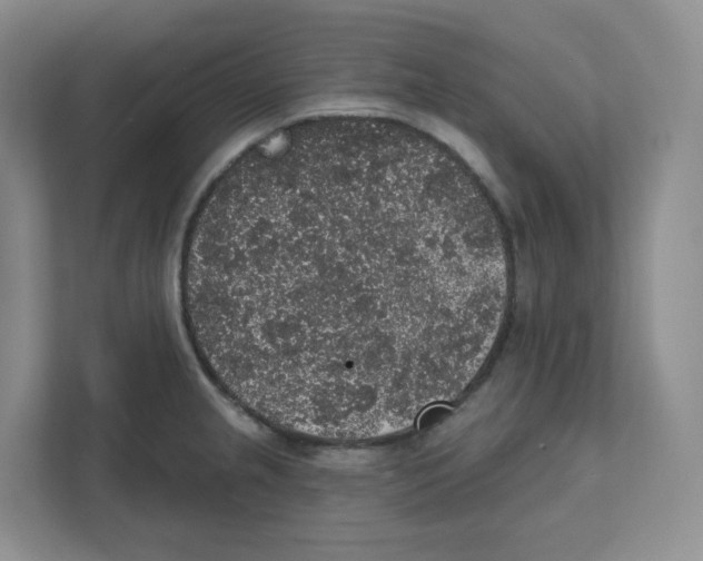 X0000111831237200908201144