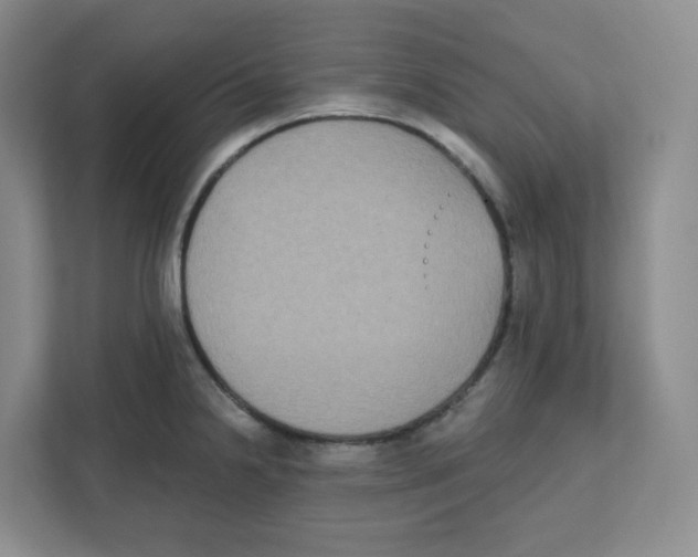 X0000111831238200908201144