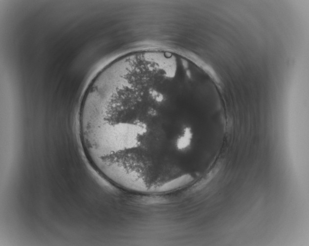 X0000111831239200908201144