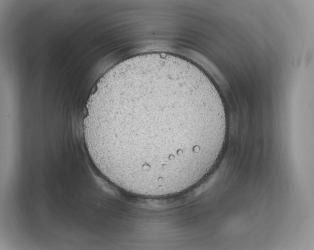 X0000111831241200908201144