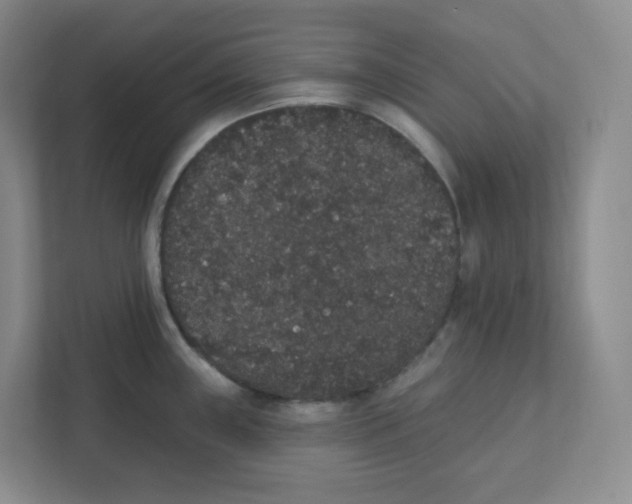 X0000111831243200908201144