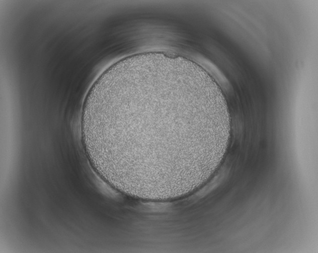 X0000111831244200908201144