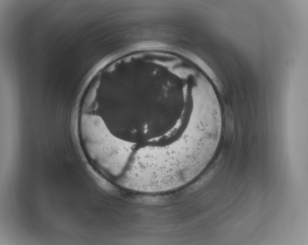 X0000111831245200908201144