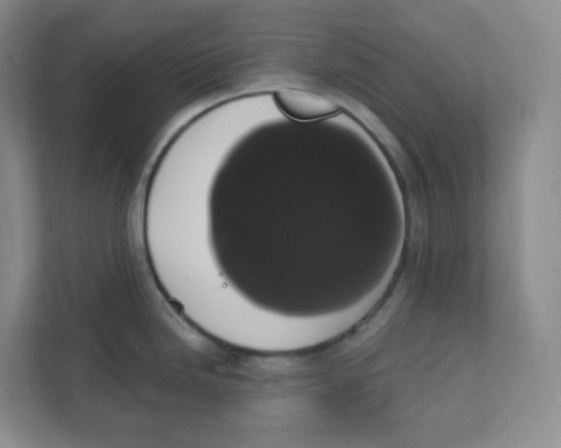 X0000111831246200908201144