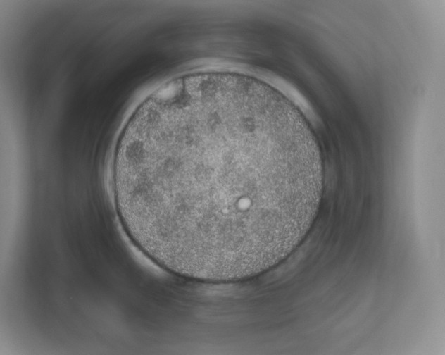 X0000111831247200908201144