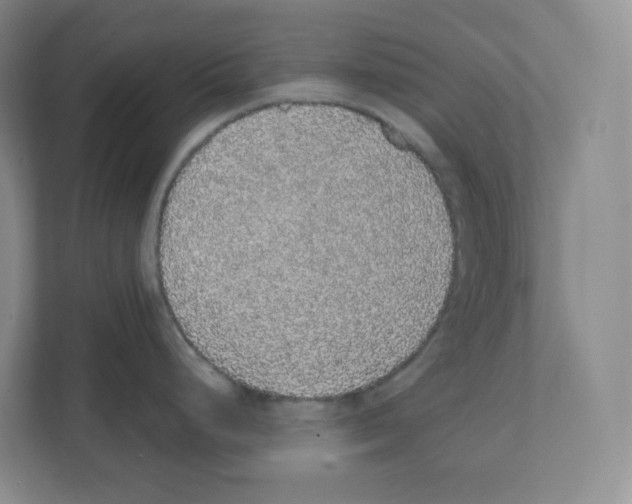 X0000111831248200908201144