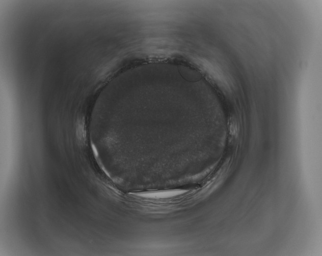 X0000111831252200908201144