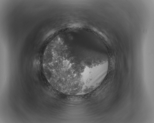 X0000111831254200908201144