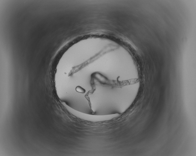 X0000111831256200908201144