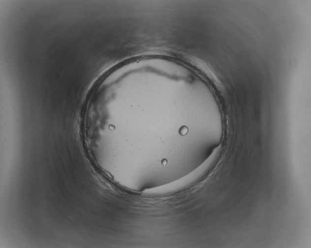 X0000111831260200908201144