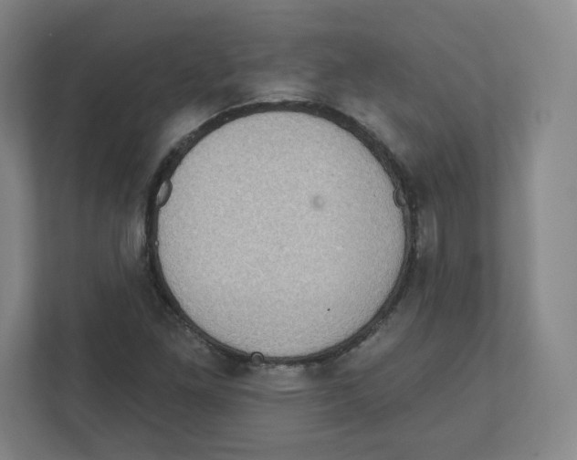 X0000111831261200908201144