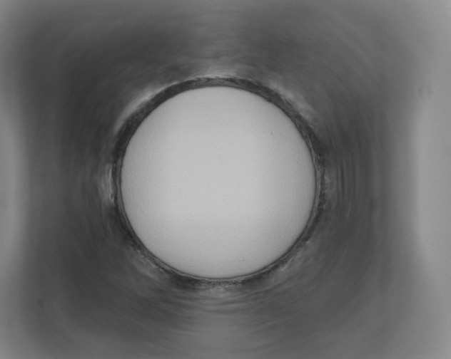 X0000111831262200908201144