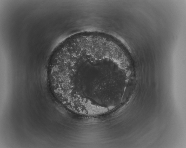 X0000111831263200908201144