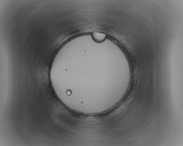 X0000111831265200908201144