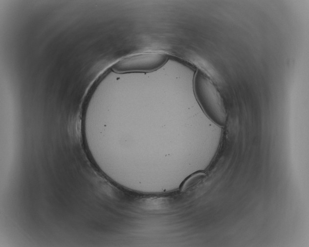 X0000111831268200908201143